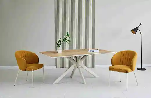 dining chair set of 2